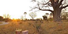 Delta Explorer Campsite, Okavango Delta, Botswana