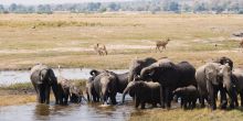 Delta Explorer Campsite, Okavango Delta, Botswana