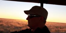 Sunset profile - looking cool