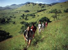 Bush walk- Campi ya Kanzi, Chyulu Hills, Kenya