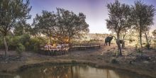 Tuningi Safari Lodge