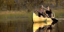 Selinda Explorers Camp