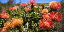 De Lande Guesthouse, Namakwaland, South Africa