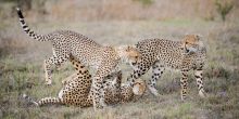 Mateya Conservation Day