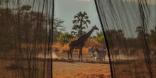 Observe the wildlife from the comfort of the tentsr at Chem Chem Lodge, Lake Manyara National Park, Tanzania