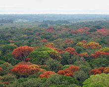 Chintheche Inn, Lake Malawi, Malawi Â© Wilderness Safaris