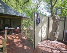 Camp exterior at Chitabe Camp, Moremi Game Reserve, Botswana (Caroline Culbert)