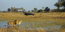 Gomoti Plains Camp, Moremi Game Reserve, Botswana