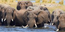 Old Mondoro, Lower Zambezi National Park, Zambia