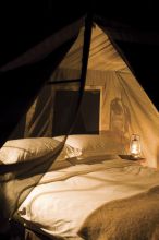 Chobe Under Canvas, Chobe National Park, Botswana