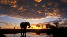 Chobe Under Canvas, Chobe National Park, Botswana