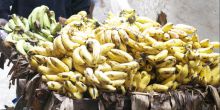 A banana vendor in Stone Town - Dhow Palace Hotel, Zanzibar, Tanzania