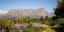 Clouds Estate, Stellenbosch, South Africa