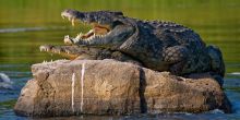 Baker's Lodge, Murchison Falls, Uganda