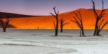 Dead Valley Lodge