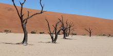 Sossusvlei Dune Excursion, Sossusvlei, Namibia
