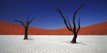 Desert Homestead Outpost - visit dead vlei
