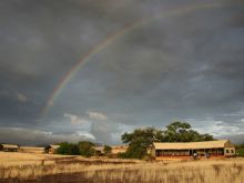 Desert Rhino Camp, Damaraland, Namibia Â© Wilderness Safaris