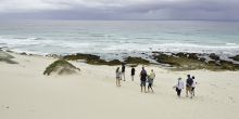 De Hoop