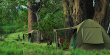 Dorobo Mobile Camp