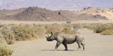 Doro Nawas Camp, Damaraland, Namibia Â© Dana Allen