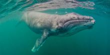Plettenberg Feathers and Tails Tour, South Africa