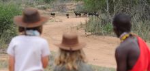 Walking safari vantage