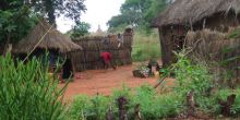 Village Tour Simonga Guided Half Day, Livingstone, Zambia