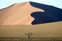 Sand Dunes