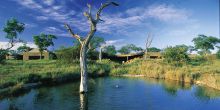 View from Waterhole