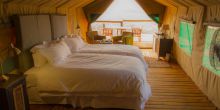 Eagle Tented Lodge