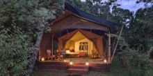 Elephant Pepper Camp, Masai Mara National Reserve, Kenya