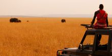 Topi House, Masai Mara National Reserve, Kenya