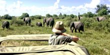 Chobe National Park Safari