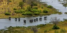 Selinda Explorers Camp