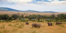 Sand River Mara Camp, Masai Mara National Reserve, Kenya