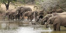 Phinda Zuka Lodge