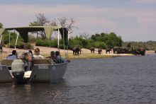 A herd of elephants is spotted during a boat safari at Elephant Valley Lodge, Chobe National Park, Botswana