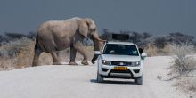 Etosha National Park