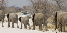 Epacha Game Lodge