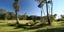 Elephant Pepper Camp, Masai Mara National Reserve, Kenya