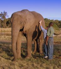 A trip to the elephant sanctuary at Plettenberg Hotel, Plettenberg, South Africa