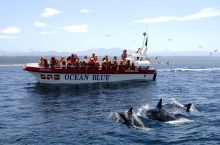 A boat safari at Plettenberg Hotel, Plettenberg, South Africa