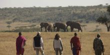 Kicheche Fly Camp