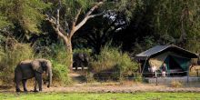 Flatdogs Camp