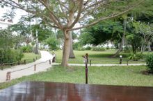 Flame Tree Cottages - Jasmine Verandah