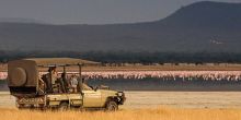 Forest Chem Chem Lake Manyara