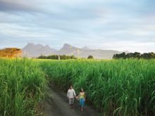 The scenery at Four Seasons Mauritius, Anahita, Mauritius