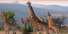 Fugitives' Drift, Drakensburg Mountains, South Africa
