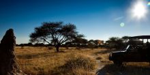 Mokuti Etosha Lodge, Etosha National Park, Namibia